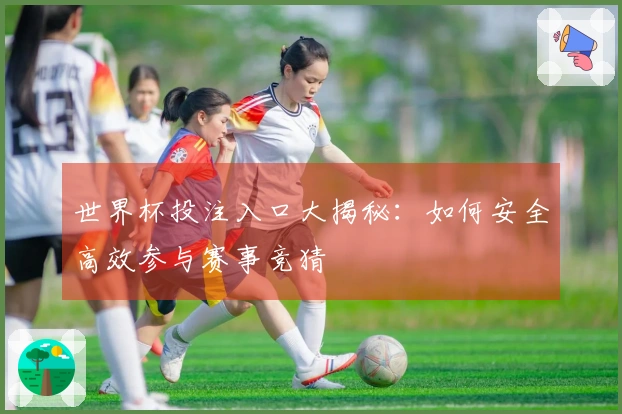 世界杯投注入口大揭秘：如何安全高效参与赛事竞猜