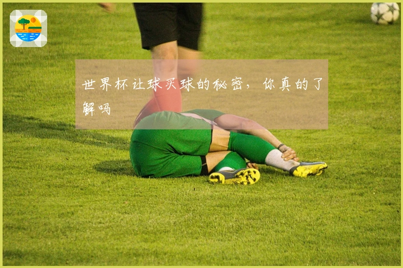 世界杯让球买球的秘密，你真的了解吗