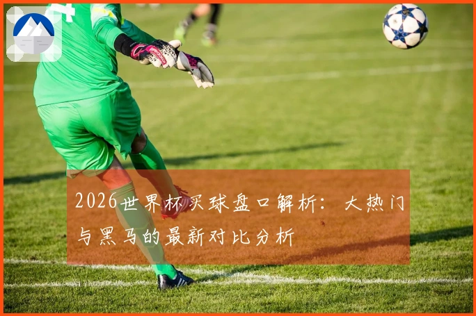 2026世界杯买球盘口解析：大热门与黑马的最新对比分析