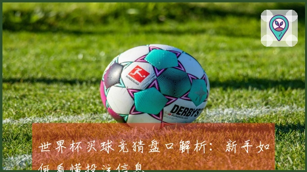 世界杯买球竞猜盘口解析：新手如何看懂投注信息