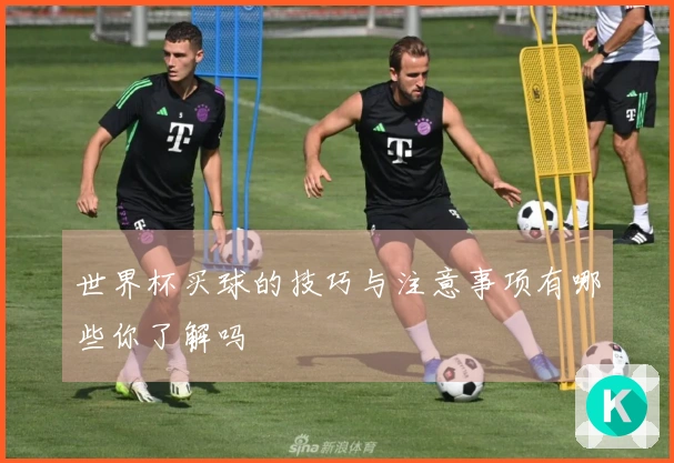 世界杯买球的技巧与注意事项有哪些你了解吗