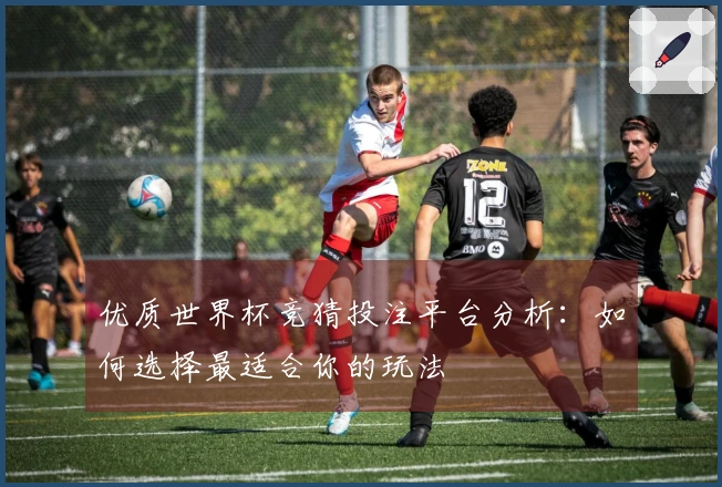 优质世界杯竞猜投注平台分析：如何选择最适合你的玩法