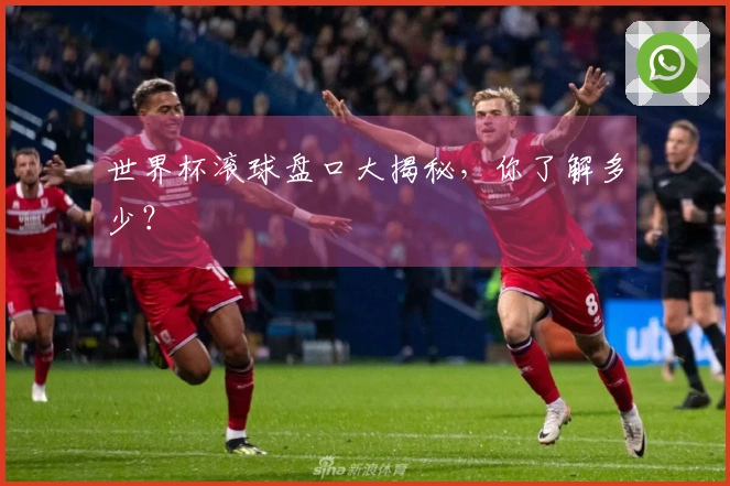世界杯滚球盘口大揭秘，你了解多少？