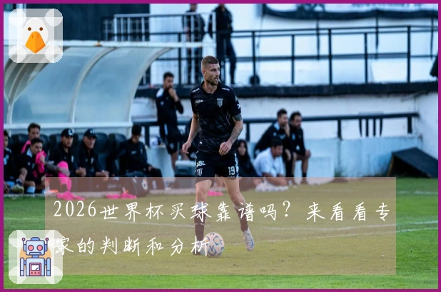 2026世界杯买球靠谱吗？来看看专家的判断和分析