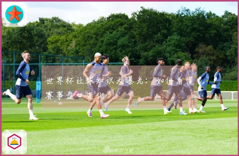 世界杯让球知识大曝光：如何看懂赛事盘口变化
