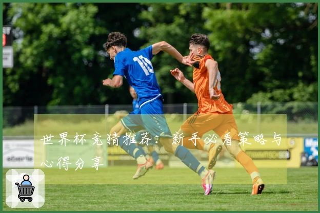 世界杯竞猜推荐：新手必看策略与心得分享