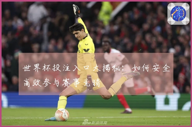 世界杯投注入口大揭秘：如何安全高效参与赛事竞猜