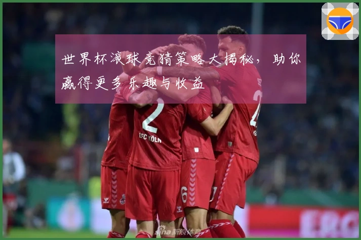 世界杯滚球竞猜策略大揭秘，助你赢得更多乐趣与收益