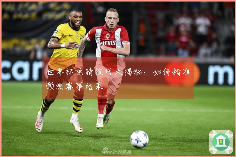 世界杯竞猜技巧大揭秘，如何精准预测赛事结果
