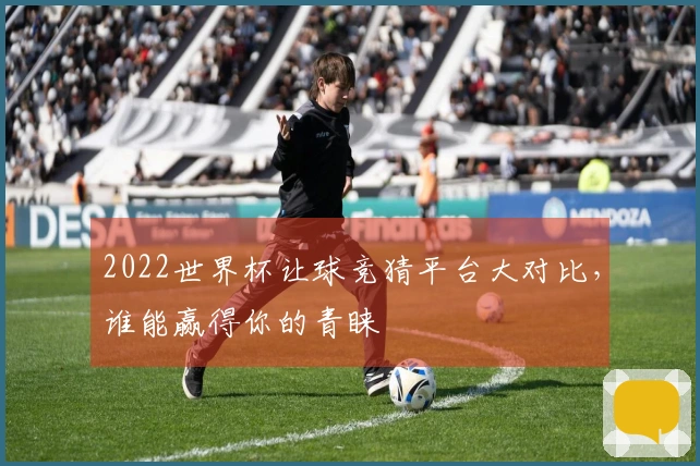 2022世界杯让球竞猜平台大对比，谁能赢得你的青睐