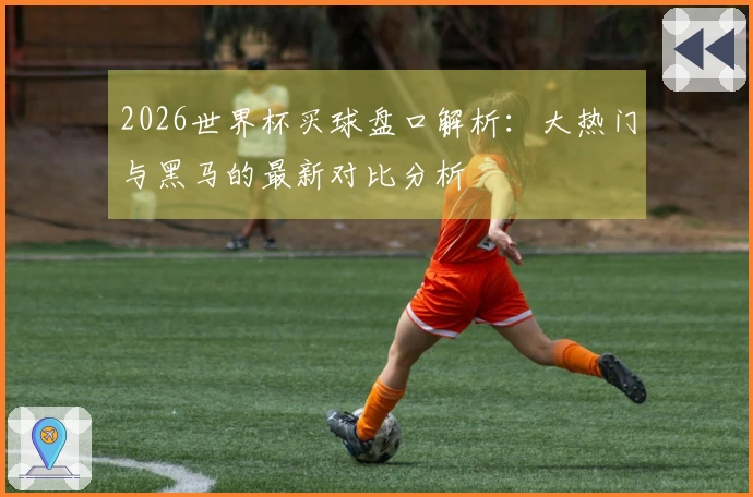 2026世界杯买球盘口解析：大热门与黑马的最新对比分析