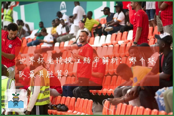 世界杯竞猜投注赔率解析：哪个球队最具胜算？