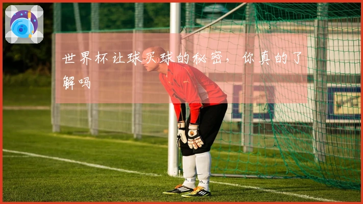 世界杯让球买球的秘密，你真的了解吗
