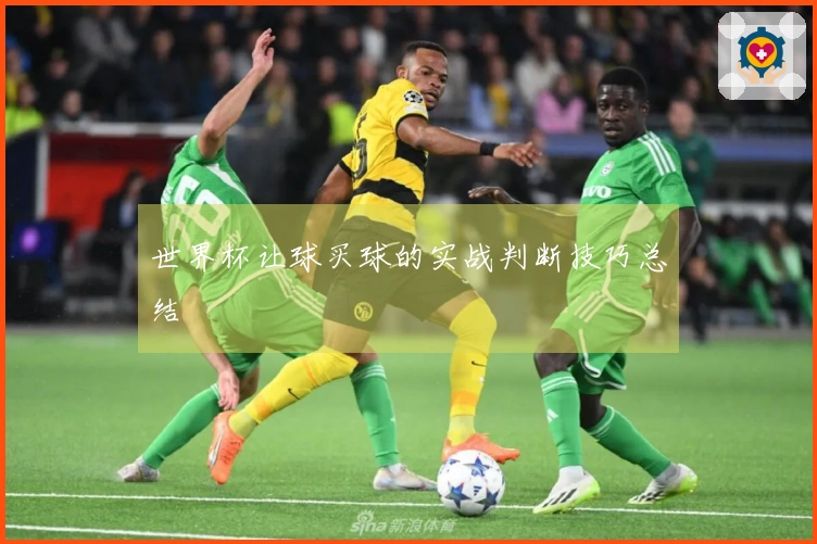 世界杯让球买球的实战判断技巧总结