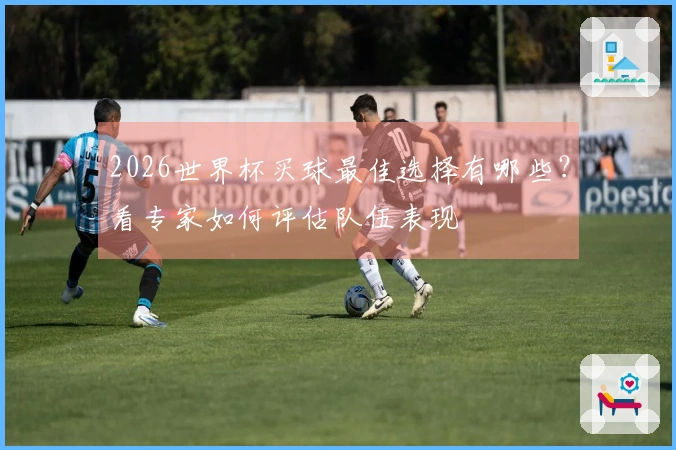 2026世界杯买球最佳选择有哪些？看专家如何评估队伍表现