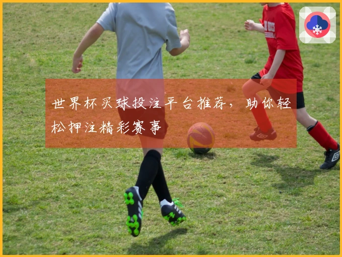 世界杯买球投注平台推荐，助你轻松押注精彩赛事