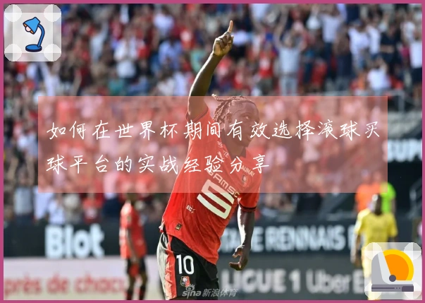 如何在世界杯期间有效选择滚球买球平台的实战经验分享