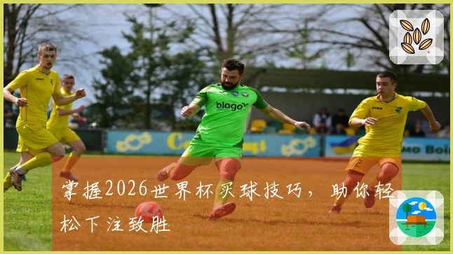 掌握2026世界杯买球技巧，助你轻松下注致胜