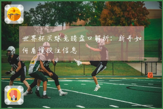世界杯买球竞猜盘口解析：新手如何看懂投注信息