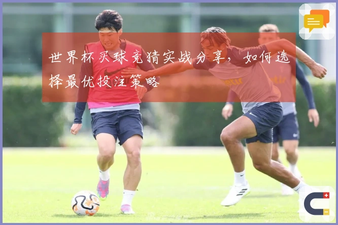 世界杯买球竞猜实战分享，如何选择最优投注策略