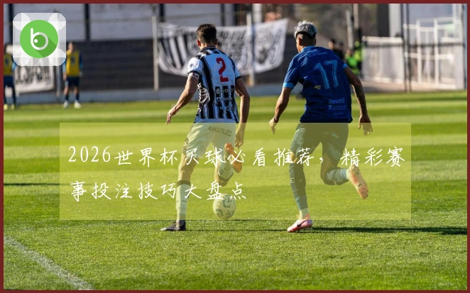 2026世界杯买球必看推荐，精彩赛事投注技巧大盘点