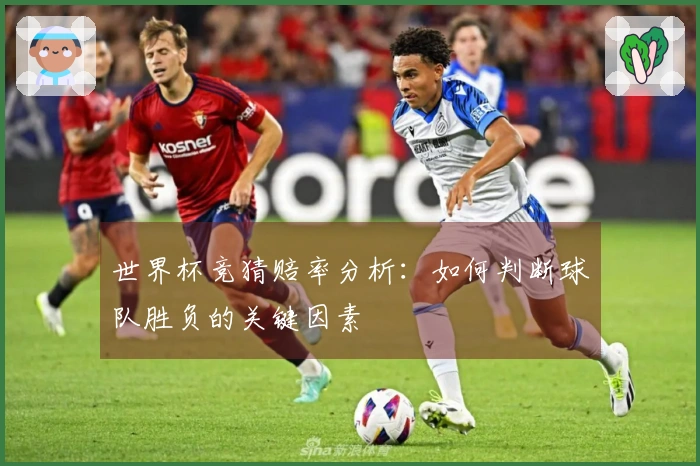 世界杯竞猜赔率分析：如何判断球队胜负的关键因素