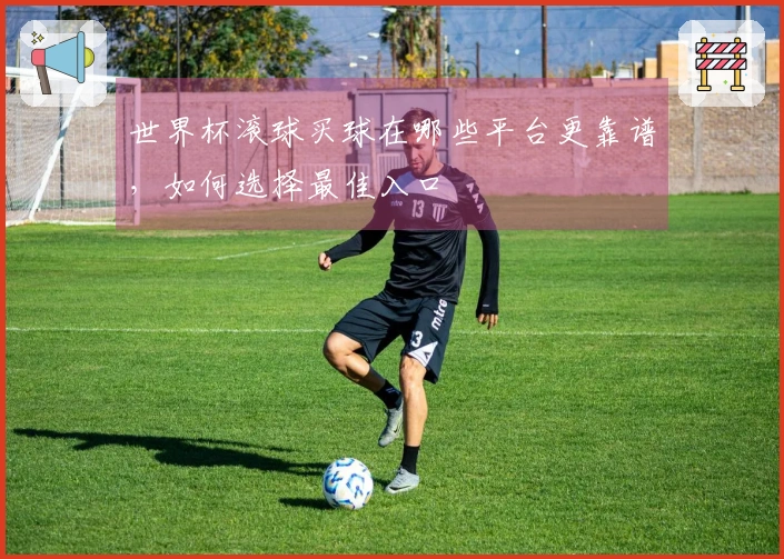 世界杯滚球买球在哪些平台更靠谱，如何选择最佳入口